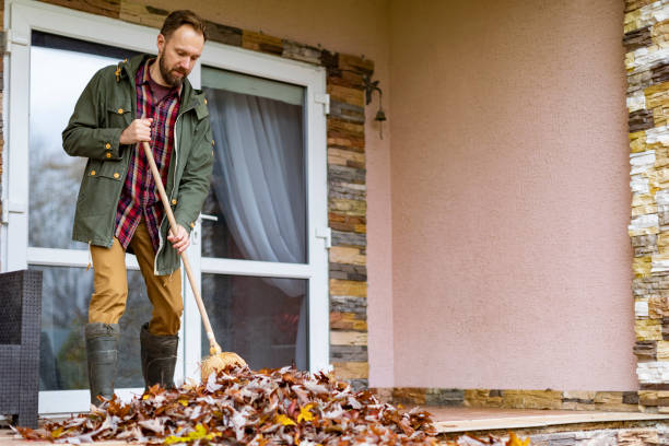 Best Commercial Cleanout Services  in Thompson, ND